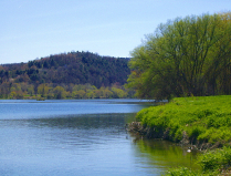 Welcome to RideCEATS